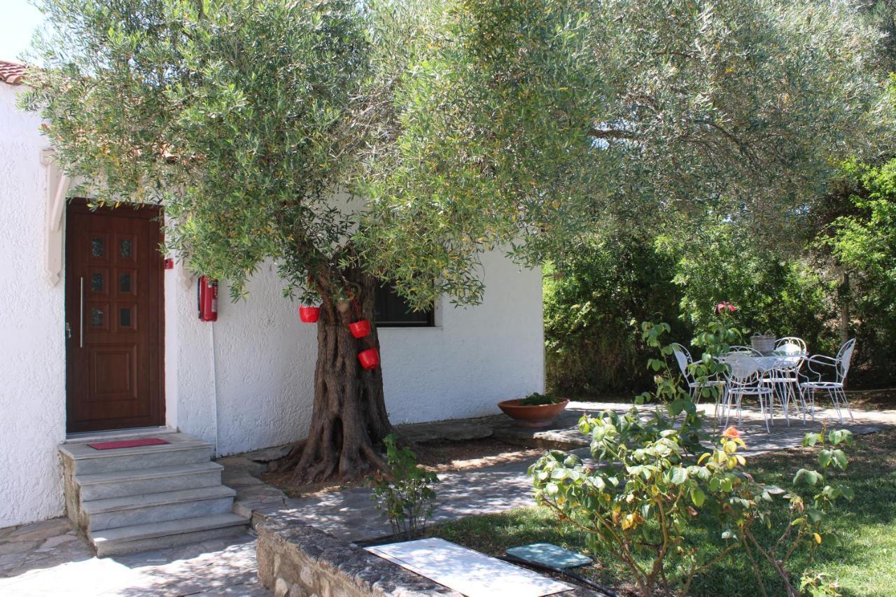 דירות אפיטוס Marios Garden House מראה חיצוני תמונה